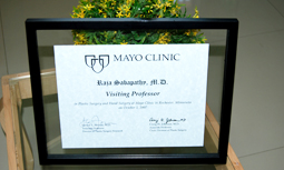 Visiting Professor- Mayo Clinic USA, Oct 2007
