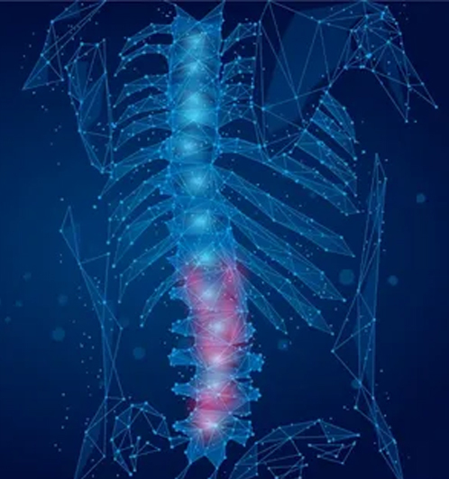 Robotic-assisted spine surgery Chennai Spinal deformity correction Chennai