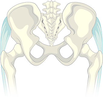Top 10 Pelvis Fracture Surgeons in India