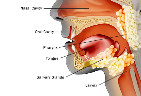 salivarycancer